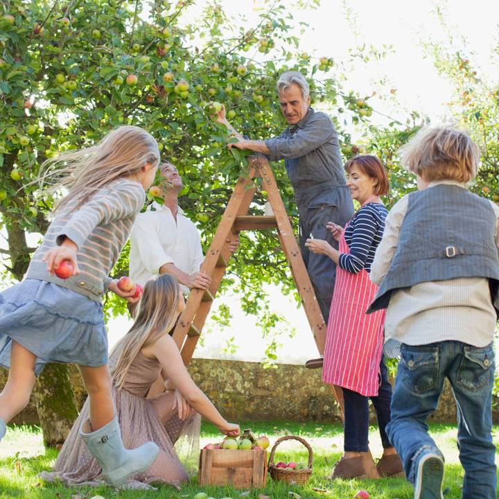Family having great time at the backyard while their dad climbing the ladder